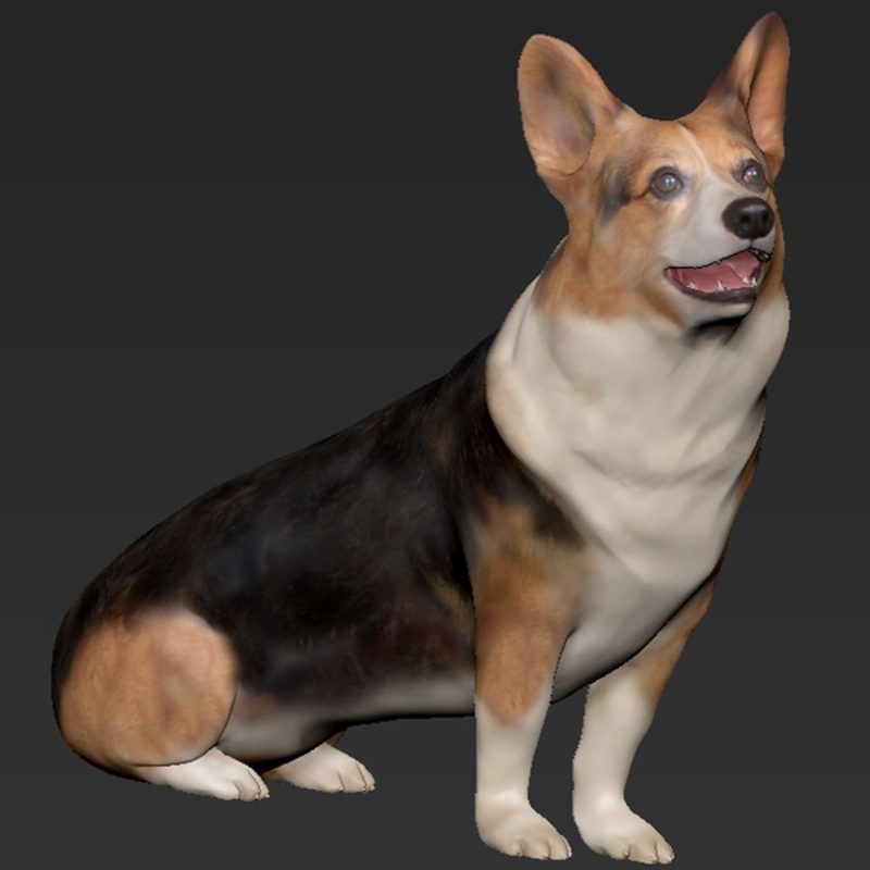 コーギー犬の3DCG
